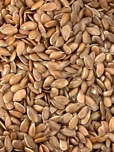 Refill Seeds| Refill Town | Chelmsford