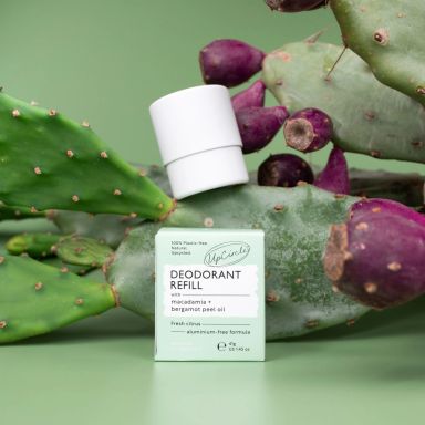 Zero Waste Skin Care | Refill Town | UpCircle Beauty