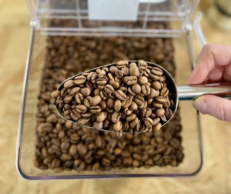 Zero Waste Coffee and Hot Chocolate | Refill Town | Chelmsford | Brazil