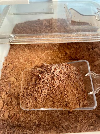 Zero Waste Coffee and Hot Chocolate | Refill Town | Chelmsford