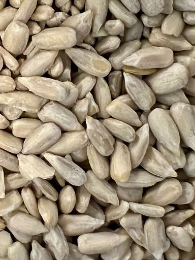 Refill Seeds| Refill Town | Chelmsford