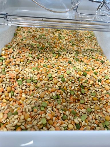 Zero Waste Pulses | Refill Shop| Chelmsford